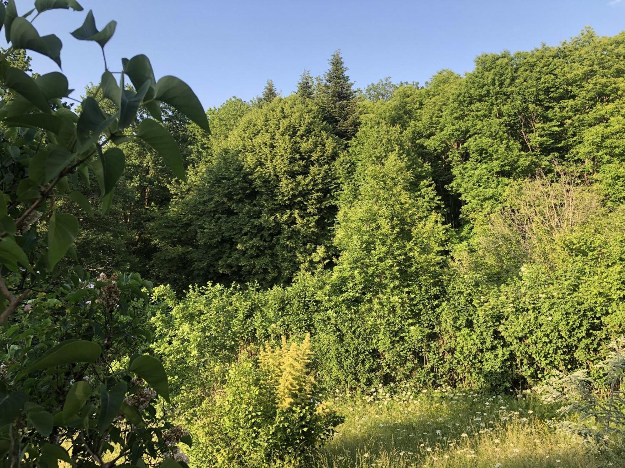 Gite De La Colombiere La Grande-Verrière Exterior foto